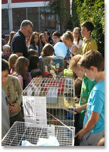 DEČIJA NEDELJA (6.10.2014. - 10.10.2014.)