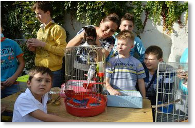 DEČIJA NEDELJA (6.10.2014. - 10.10.2014.)