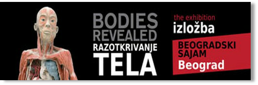 Otkrivanje ljudskog tela - 15.02.2013. &nbsp;&nbsp;&nbsp;